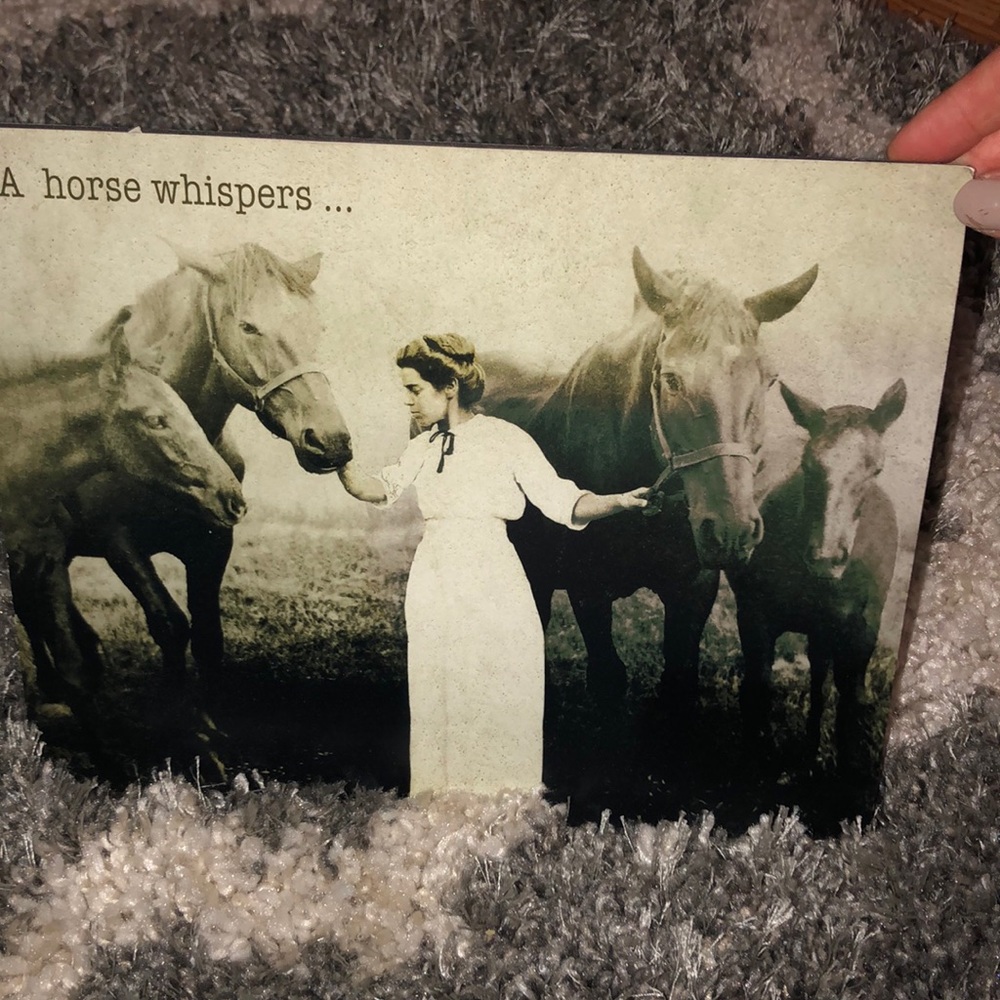 Horse handmade art